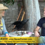 Connecting with Animal Spirit – Steven Farmer